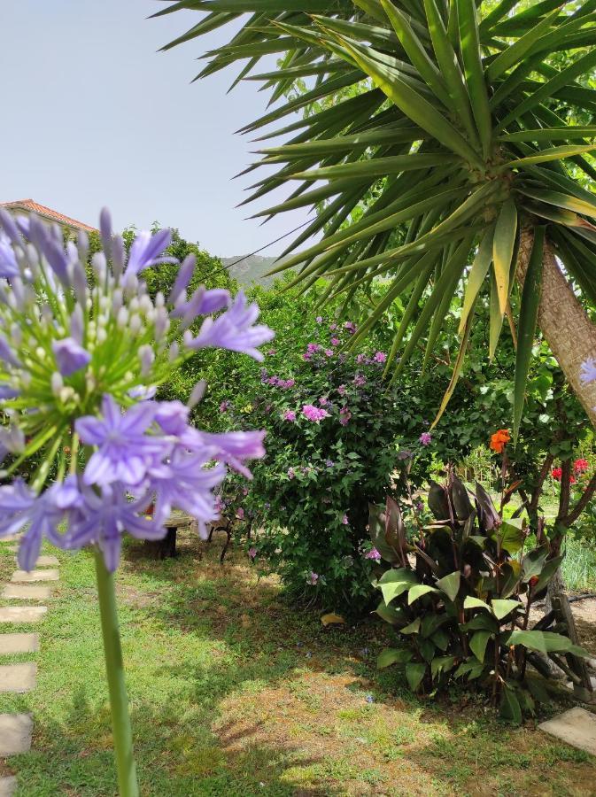 Hotel Epavli Veneti Parga Exteriér fotografie