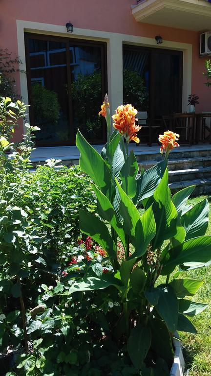 Hotel Epavli Veneti Parga Exteriér fotografie